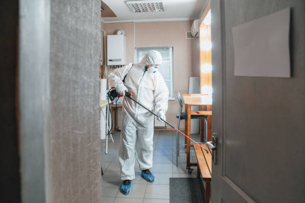 Reliable Collingdale, PA Mold Inspection, Removal & Remediation Solutions